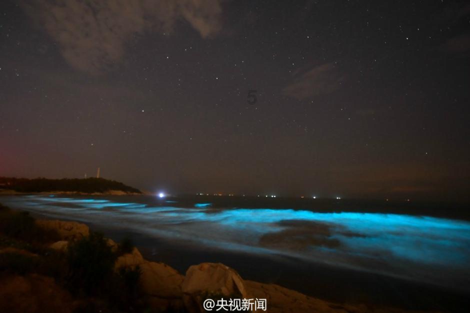 燃烧吧大脑免广告最新版